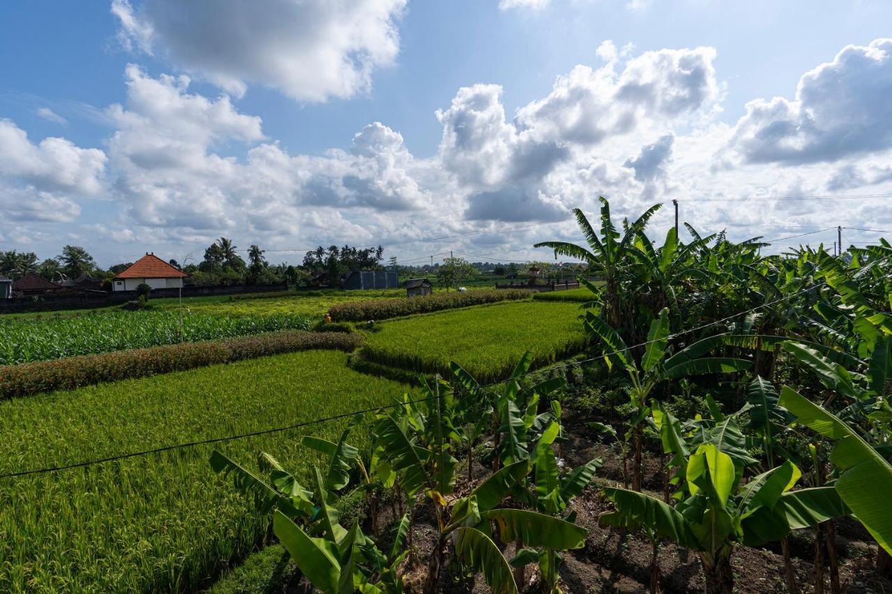 Oemah Joglo Bali Villa Ubud  Bagian luar foto